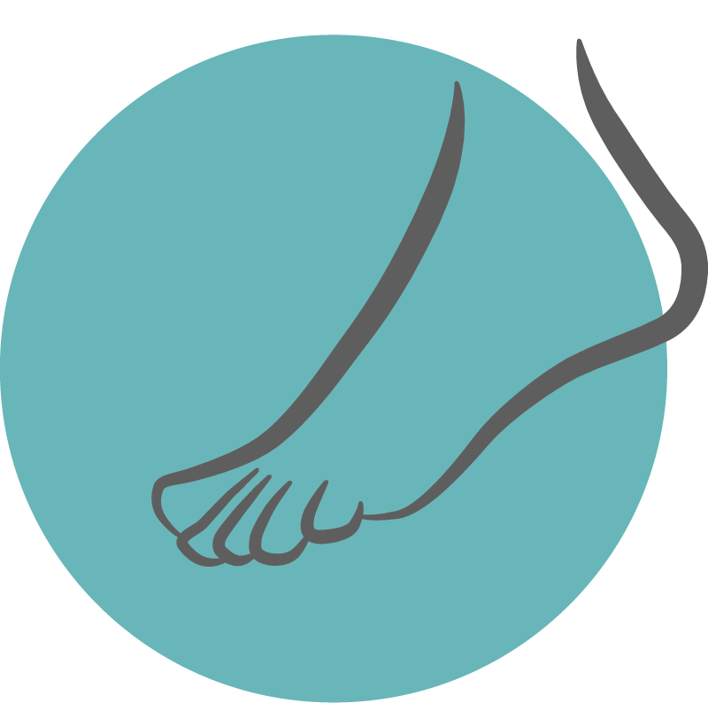 icon-pied-reflexologie-MapauseReequilibre-L800px